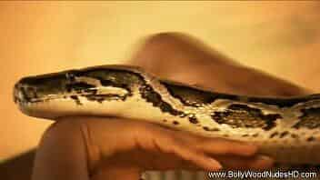 Indian Erotic dance with snake video